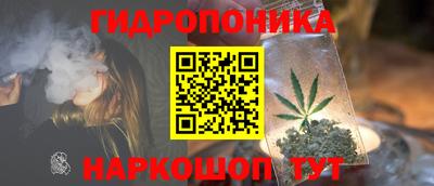 PSILOCYBIN Нальчик