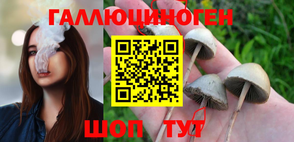 Галлюциногенные грибы ЛСД Усолье-Сибирское